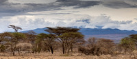 Tanzania Landscapes