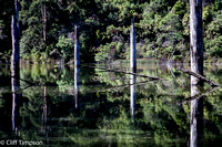 Lake Elizabeth Reflections
