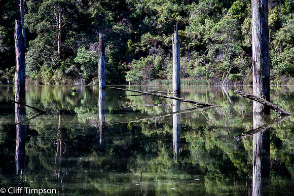 Lake Elizabeth Reflections