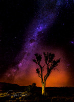 Milky Way, Flinders Ranges